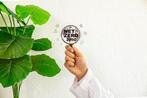 Net Zero and Carbon Neutral Concepts Net Zero photo