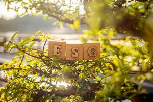 sustainable ESG modernization development by using photo