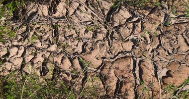 part of a field covered with cracks without plants during dehydration in the heat photo