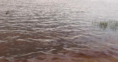 waves on the surface of the river in cloudy spring weather photo