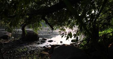 The river during the dawn in autumn , the waves photo