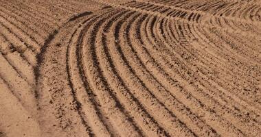 a plowed field in spring for planting a new crop, photo