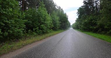 Wet rain field paved road in the forest photo
