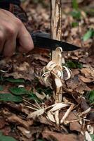 Survival Technique Preparing Tinder with Knife photo