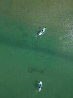 vertical Multicultural couple paddleboarding on a river on a summer day, top view photo