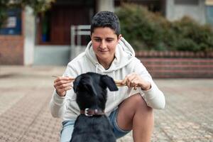 Closeup of short-haired girl holding a stick while her dog, seen from behind, grabs it with its mouth photo