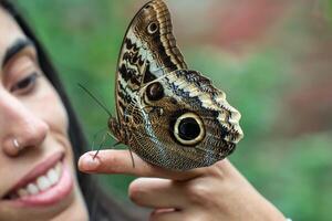 Closeup of an Owl Butterfly Caligo memnon perched on the finger of a young Latina girl photo