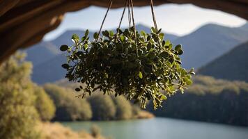 A hanging plant in focus with a scenic lake and mountains in the background. photo