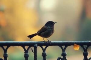Bird resting on a fence surrounded by flowers during golden hour in a peaceful garden photo