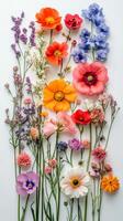 Colorful floral arrangement with various blooms on a white background in natural light photo