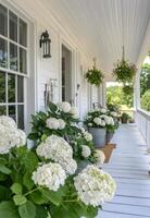 Hydrangeas in metal pots line a charming porch during sunny weather photo