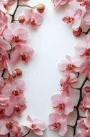 Pink orchid flowers arranged artistically on a white surface creating a beautiful frame for design purposes photo