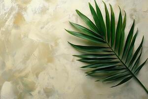 Green palm leaf placed on textured background showcasing natural beauty and simplicity photo
