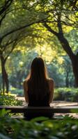 Relaxing solitude in a sunlit park surrounded by lush trees during late afternoon photo