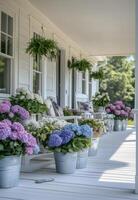 Hydrangeas in metal pots line a charming porch during sunny weather photo
