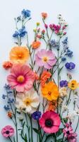 Colorful floral arrangement with various blooms on a white background in natural light photo