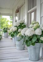 Hydrangeas in metal pots line a charming porch during sunny weather photo