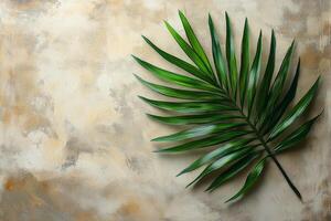 Green palm leaf placed on textured background showcasing natural beauty and simplicity photo