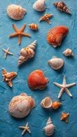 Colorful collection of seashells and starfish arranged on a bright blue surface photo