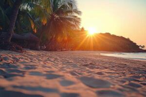 Golden sunset reflecting on a tranquil beach with palm trees swaying gently photo