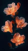 Bright orange flowers illuminate a dark background in a striking floral arrangement photo