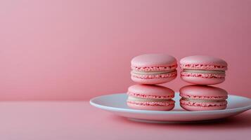 Four delicious pink macarons displayed on a white plate against a soft pink background photo