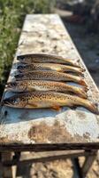 Freshly Caught Brown Trout Displayed on a Rustic Table by the Riverbank in Early Morning Light photo