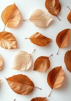 Fall leaves of various hues scattered on a plain surface showcasing the beauty of autumn photo