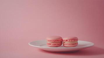Four delicious pink macarons displayed on a white plate against a soft pink background photo