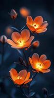 Bright orange flowers illuminate a dark background in a striking floral arrangement photo