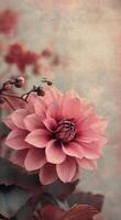 Beautiful peach dahlia blooming among vibrant floral backdrop in a garden setting during daylight photo