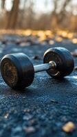 Black dumbbells on wet pavement with fallen leaves during a rainy day workout photo
