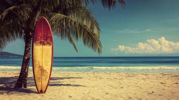 Surfboard resting under palm trees on a quiet beach at sunrise in a tropical paradise photo