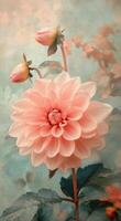 Beautiful peach dahlia blooming among vibrant floral backdrop in a garden setting during daylight photo