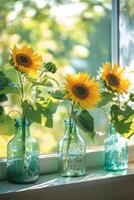 Sunflowers in glass bottles brighten a sunny window sill in a serene indoor setting photo