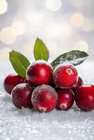 Fresh cranberries dusted with snow on a winter background with soft bokeh lights photo