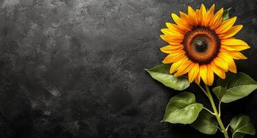 Bright sunflower arrangement with autumn leaves on a dark background for seasonal decor photo