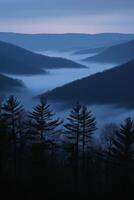 Misty valley landscape at twilight with mountains in the background and dense forest photo