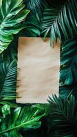 Creative blank canvas surrounded by lush tropical leaves in a serene setting photo
