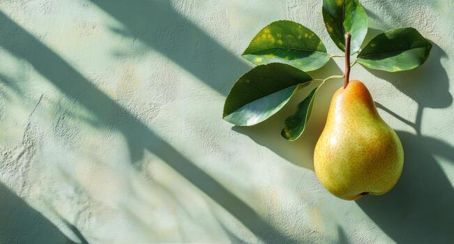 Brightly lit pear on a light green background casting a shadow during daylight hours photo