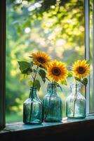 Sunflowers in glass bottles brighten a sunny window sill in a serene indoor setting photo