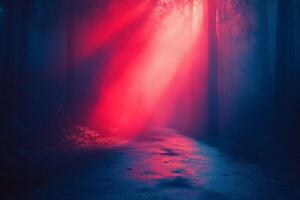 Mystical forest path illuminated by colorful light during twilight hours photo