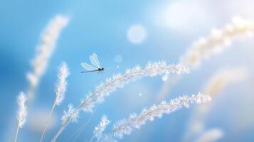 Serene Morning Scene with Glistening Grass and Dragonfly photo