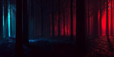 Mysterious forest illuminated by blue and red lights at night creating an eerie atmosphere photo