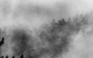 Low clouds over valley, view from the mountains. Low clouds. photo