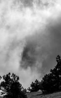 Low clouds over valley, view from the mountains. Low clouds. photo