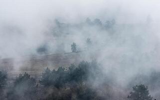 Low clouds over valley, view from the mountains. Low clouds. photo