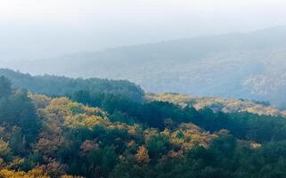 Mountains and forests of Crimea. coniferous and deciduous trees on the hills of mountains and rocks photo