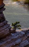 Mountains and forests of Crimea. coniferous and deciduous trees on the hills of mountains and rocks photo