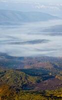 Mountains and forests of Crimea. coniferous and deciduous trees on the hills of mountains and rocks photo
